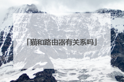 猫和路由器有关系吗