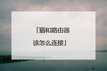 猫和路由器该怎么连接