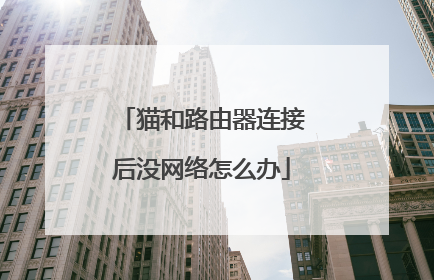 猫和路由器连接后没网络怎么办