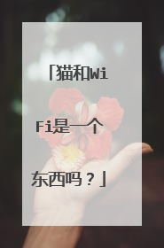猫和WiFi是一个东西吗？
