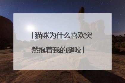 猫咪为什么喜欢突然抱着我的腿咬