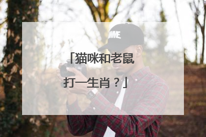 猫咪和老鼠打一生肖？