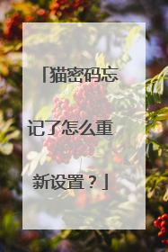 猫密码忘记了怎么重新设置?