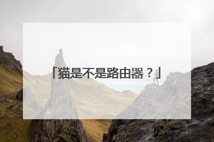 猫是不是路由器？