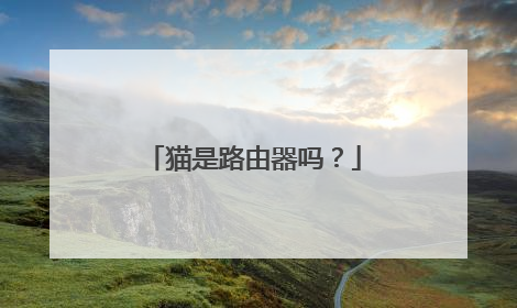 猫是路由器吗？