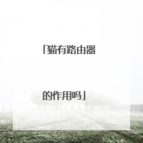 猫有路由器的作用吗