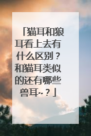 猫耳和狼耳看上去有什么区别？和猫耳类似的还有哪些兽耳~？