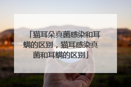 猫耳朵真菌感染和耳螨的区别，猫耳感染真菌和耳螨的区别