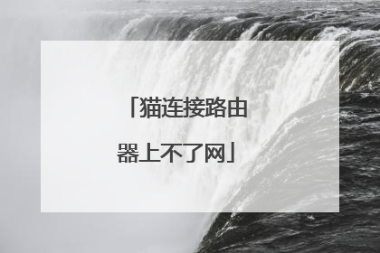 猫连接路由器上不了网