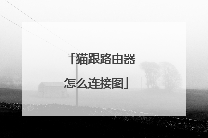 猫跟路由器怎么连接图
