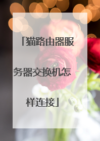 猫路由器服务器交换机怎样连接