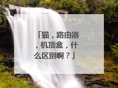 猫，路由器，机顶盒，什么区别啊？
