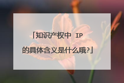 知识产权中 IP  的具体含义是什么哦?