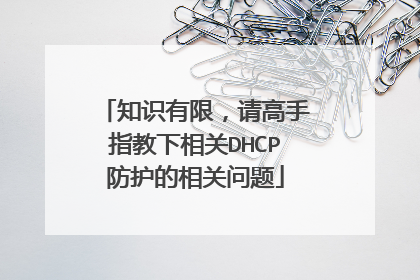 知识有限,请高手指教下相关DHCP防护的相关问题