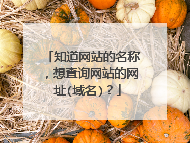 知道网站的名称,想查询网站的网址(域名)?