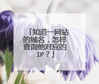 知道一网站的域名,怎样查询他对应的IP?