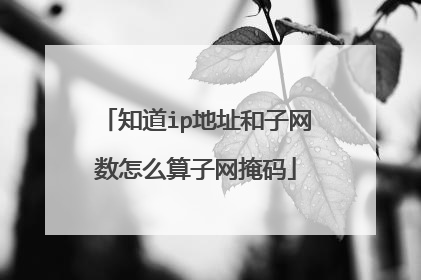 知道ip地址和子网数怎么算子网掩码