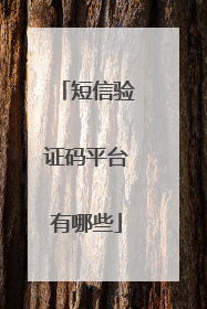 短信验证码平台有哪些