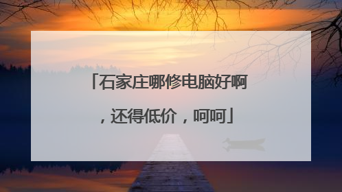 石家庄哪修电脑好啊,还得低价,呵呵