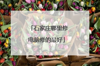 石家庄哪里修电脑修的最好