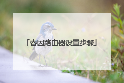 睿因路由器设置步骤