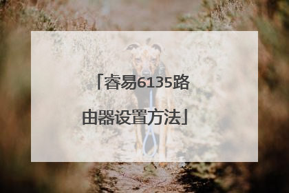 睿易6135路由器设置方法