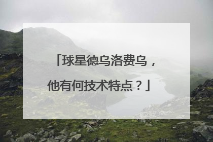 球星德乌洛费乌，他有何技术特点？