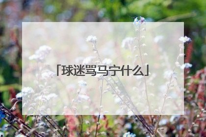 球迷骂马宁什么