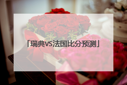 瑞典VS法国比分预测