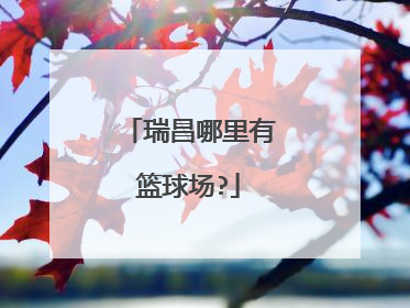 瑞昌哪里有篮球场?
