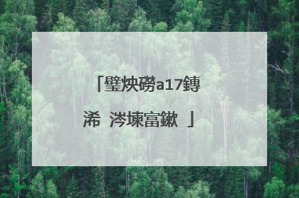 璧炴磱a17鏄�浠�涔堜富鏉�