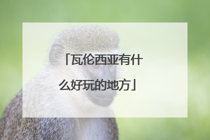 瓦伦西亚有什么好玩的地方