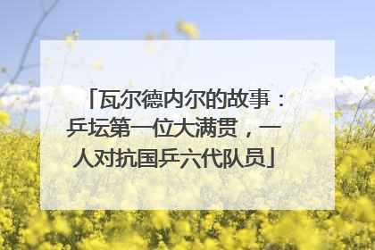 瓦尔德内尔的故事：乒坛第一位大满贯，一人对抗国乒六代队员