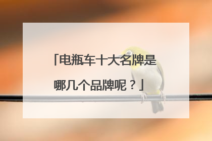 电瓶车十大名牌是哪几个品牌呢?
