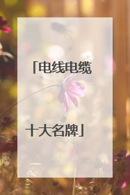 电线电缆十大名牌