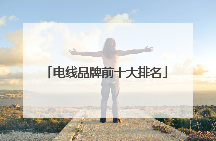 电线品牌前十大排名