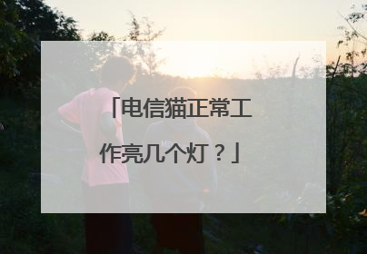 电信猫正常工作亮几个灯？