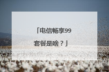 电信畅享99套餐是啥?
