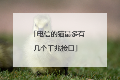 电信的猫最多有几个千兆接口