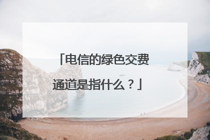 电信的绿色交费通道是指什么？
