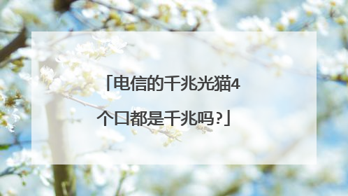 电信的千兆光猫4个口都是千兆吗?