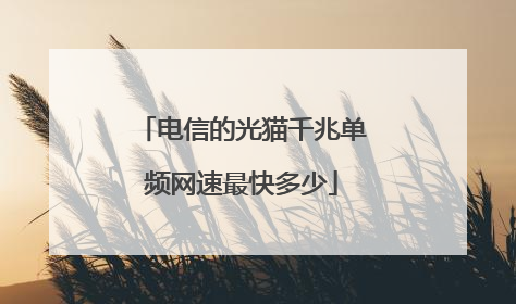 电信的光猫千兆单频网速最快多少