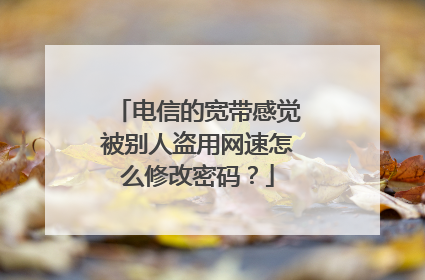电信的宽带感觉被别人盗用网速怎么修改密码?