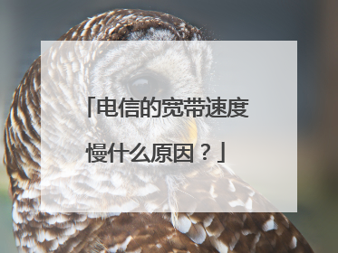 电信的宽带速度慢什么原因？
