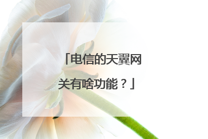 电信的天翼网关有啥功能？