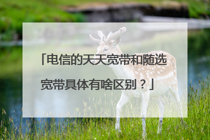 电信的天天宽带和随选宽带具体有啥区别?