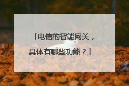 电信的智能网关,具体有哪些功能?