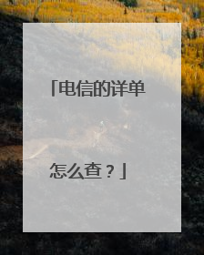 电信的详单怎么查?