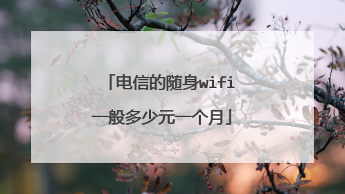 电信的随身wifi一般多少元一个月