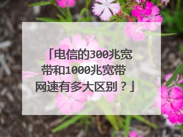 电信的300兆宽带和1000兆宽带网速有多大区别?